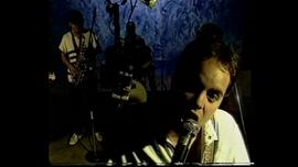 PE_008_1997_Música en vivo: Punto rojo y Los amables donantes
